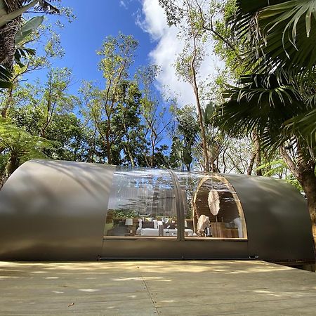 Bubble Lodge Bois Cheri Plantation Luaran gambar