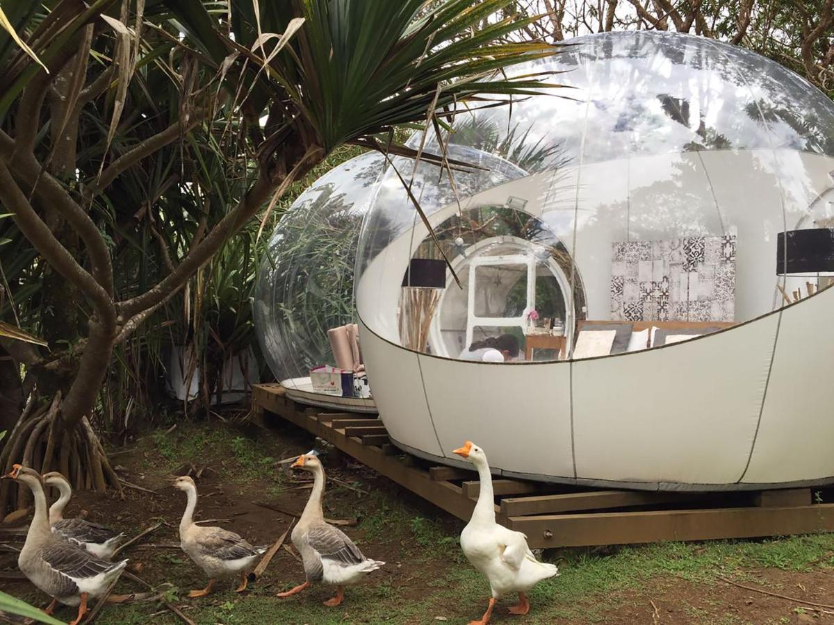 Bubble Lodge Bois Cheri Plantation Luaran gambar
