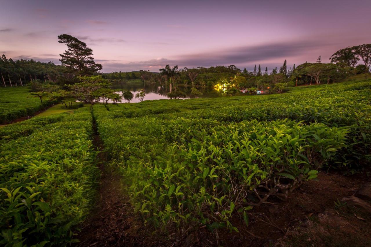 Bubble Lodge Bois Cheri Plantation Luaran gambar