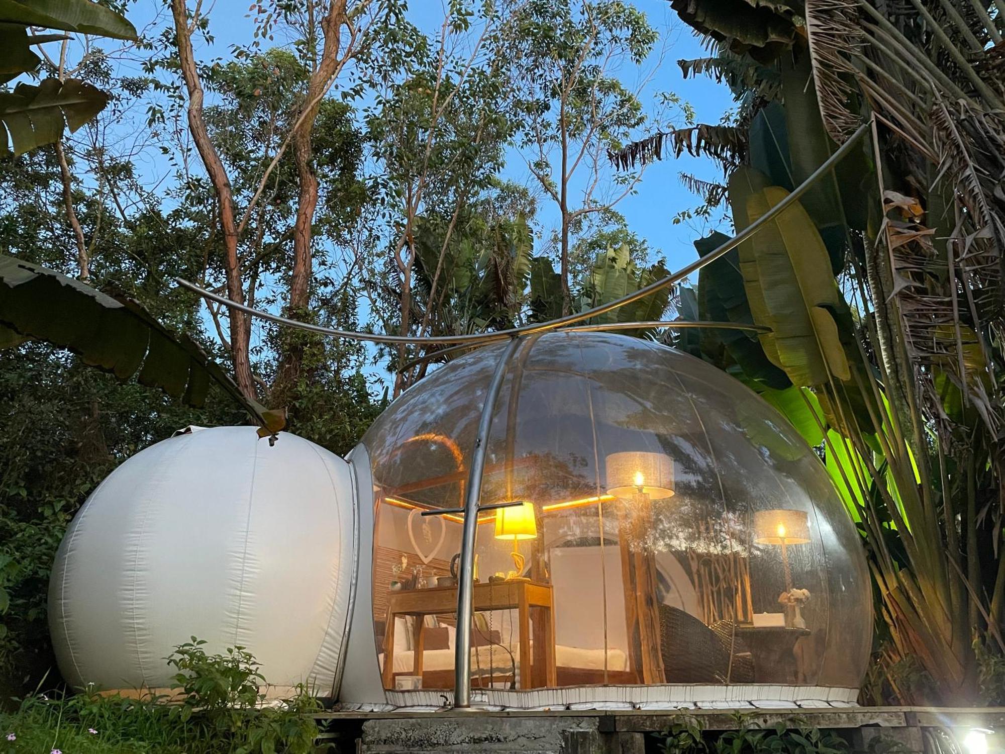 Bubble Lodge Bois Cheri Plantation Luaran gambar