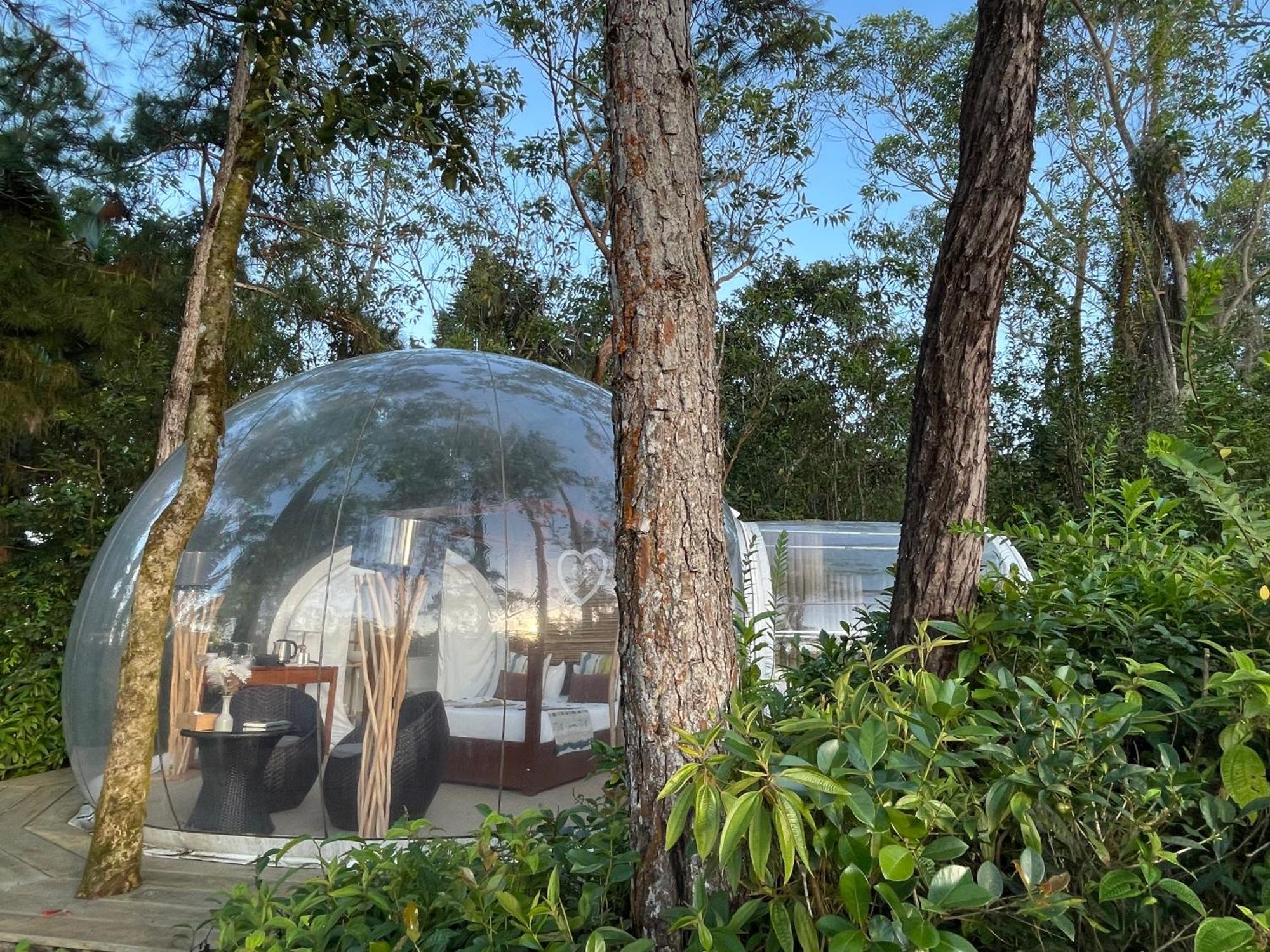 Bubble Lodge Bois Cheri Plantation Luaran gambar