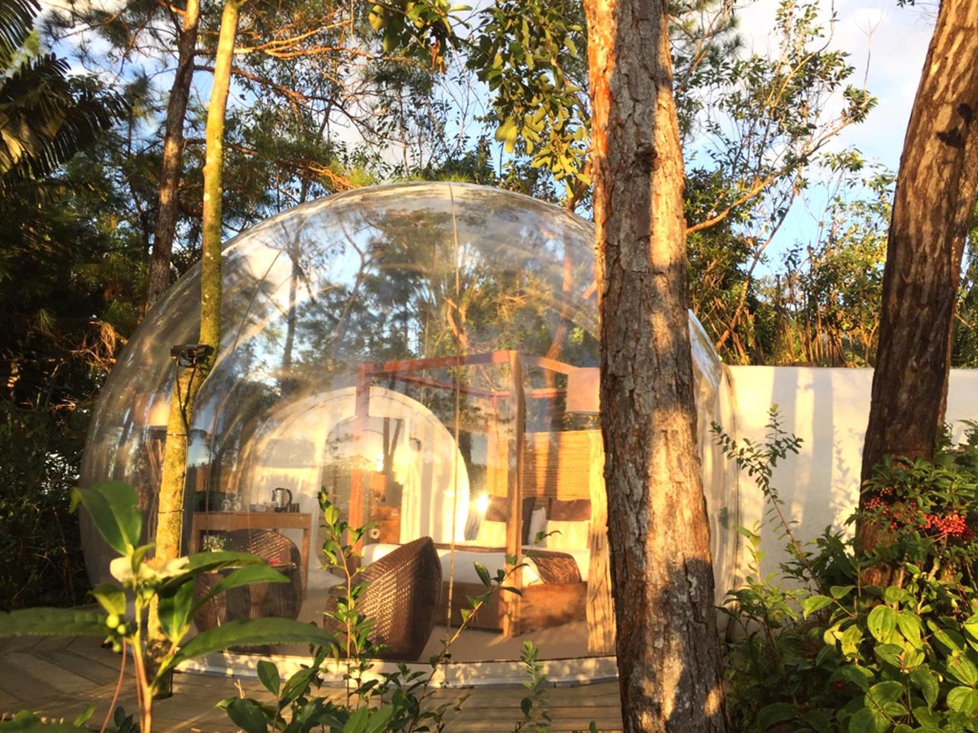 Bubble Lodge Bois Cheri Plantation Bilik gambar